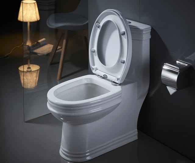 為什么實(shí)體店的馬桶比網(wǎng)店的馬桶貴差不多一半的價(jià)格？